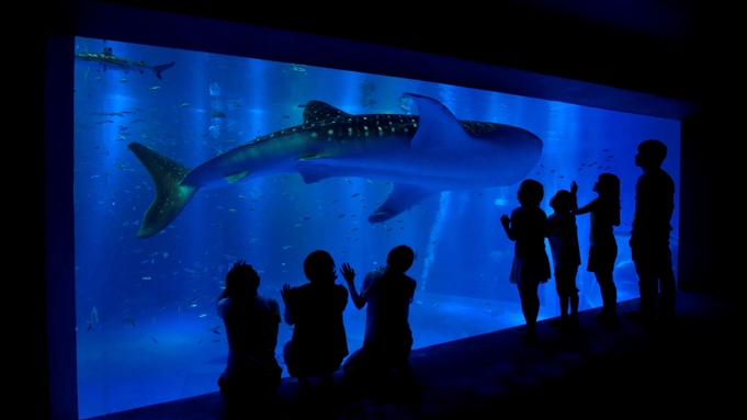 【来て！見て！触れる体験型水族館】海の世界を見に行こう！のとじま水族館入場券付プラン